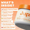 Jupi Hydration & Wellness Powder – Turmeric & Ginger shots, Vitamin C Supplement - Hydration Drink Mixes product image